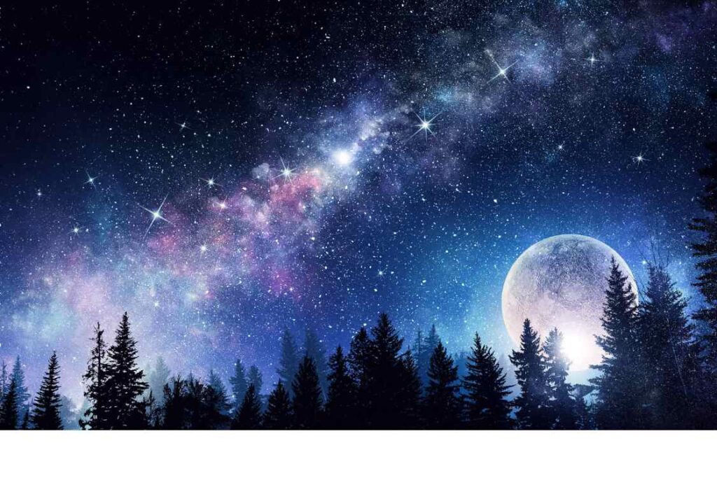 "Shoot for the Moon"と"Shoot for the Stars: 目標設定の違いとその効果 